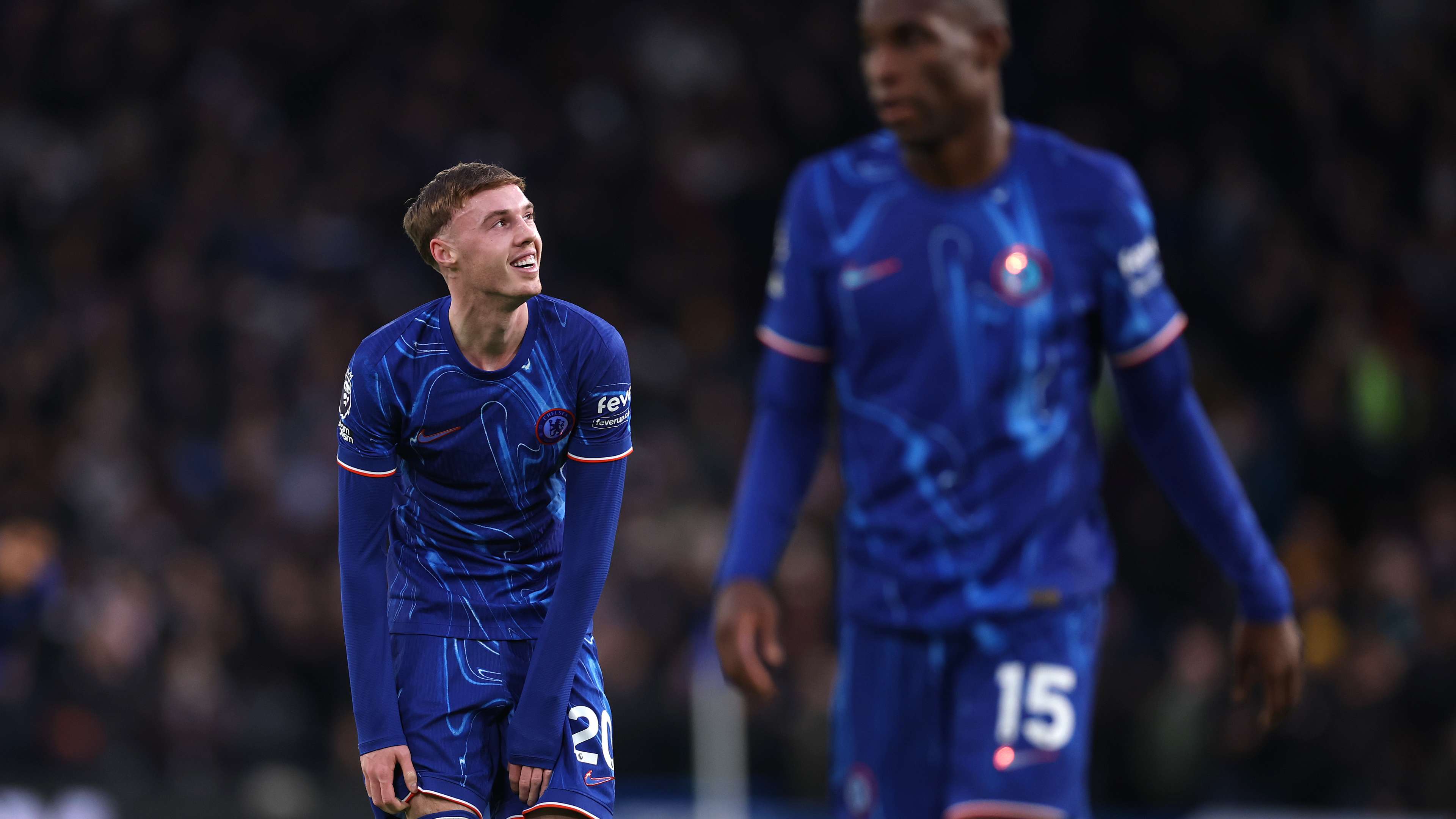 构成了职业 构成了职业